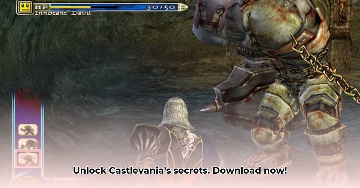 roms-ps2-castlevania